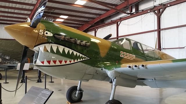  - Warbird