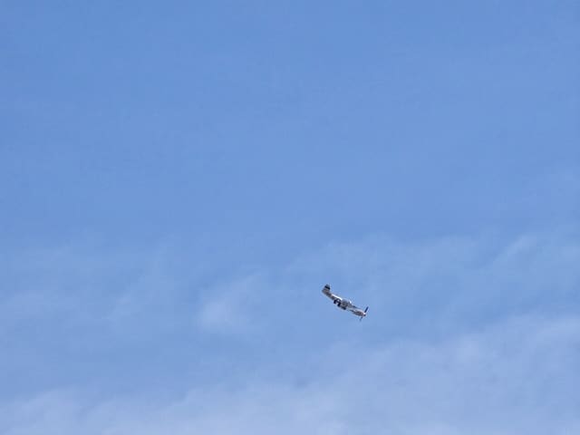  - Warbird