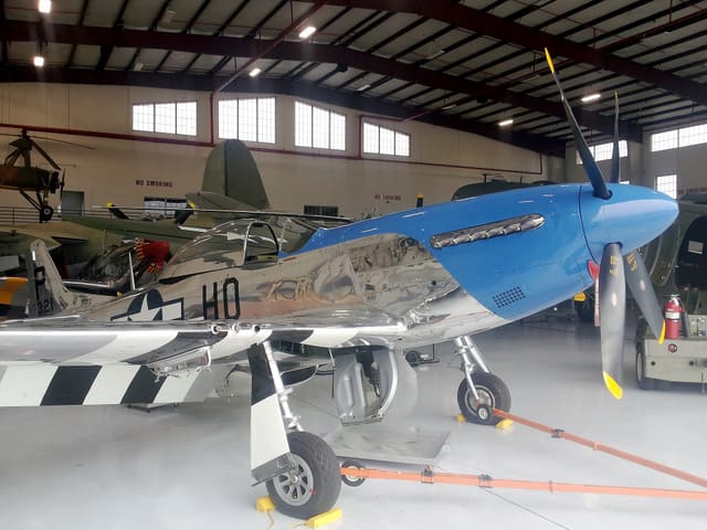 N921 - Warbird