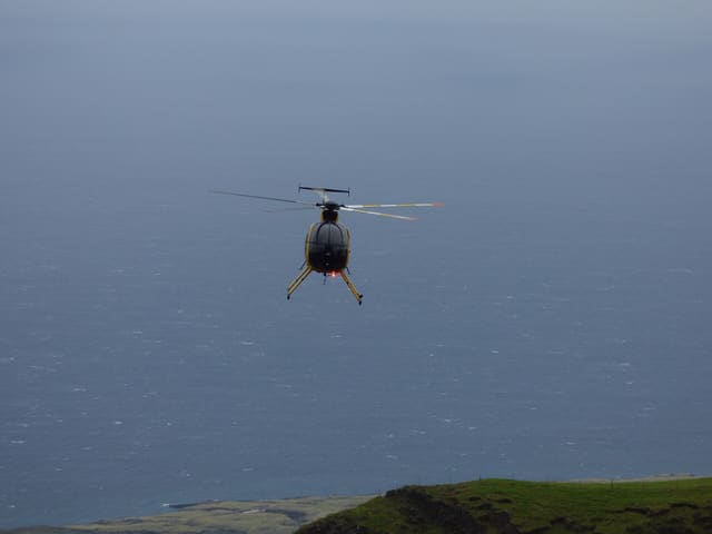 N809WA - Helicopter