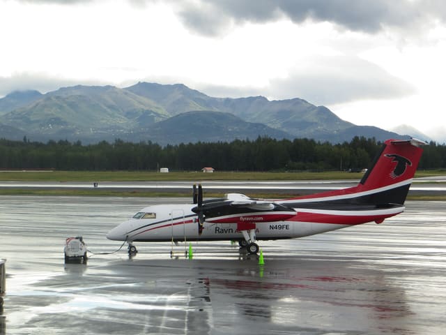 N49FE - De Havilland