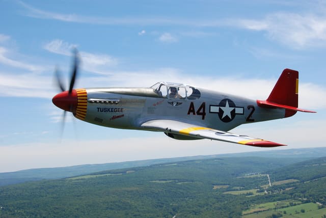  - Warbird
