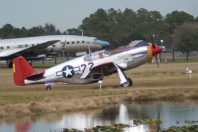  - Warbird