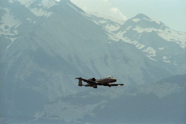 - Warbird