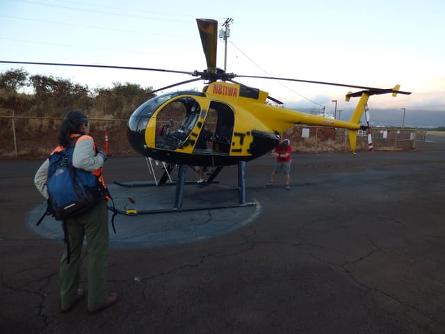 N811WA - Helicopter