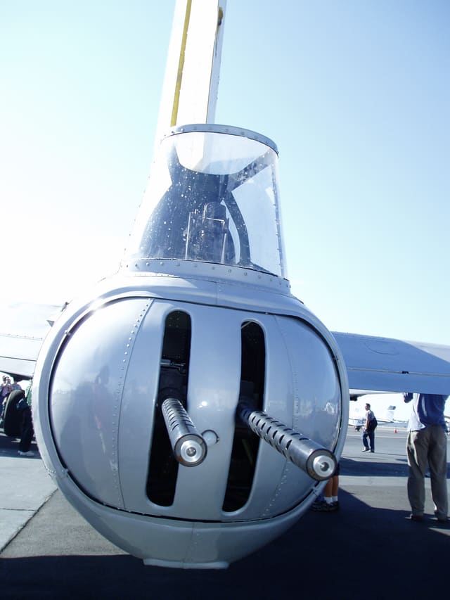  - Warbird