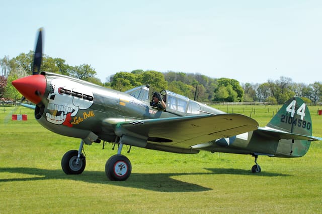  - Warbird