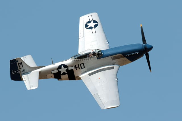  - Warbird