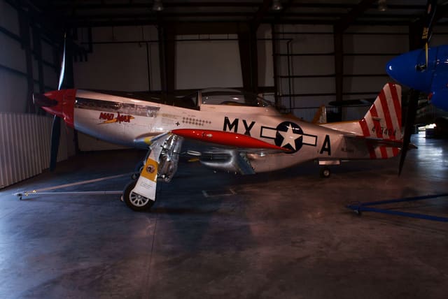  - Warbird