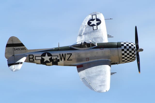  - Warbird