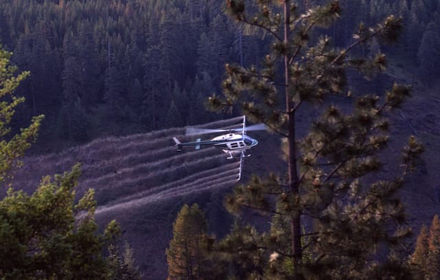 N59558 - Helicopter
