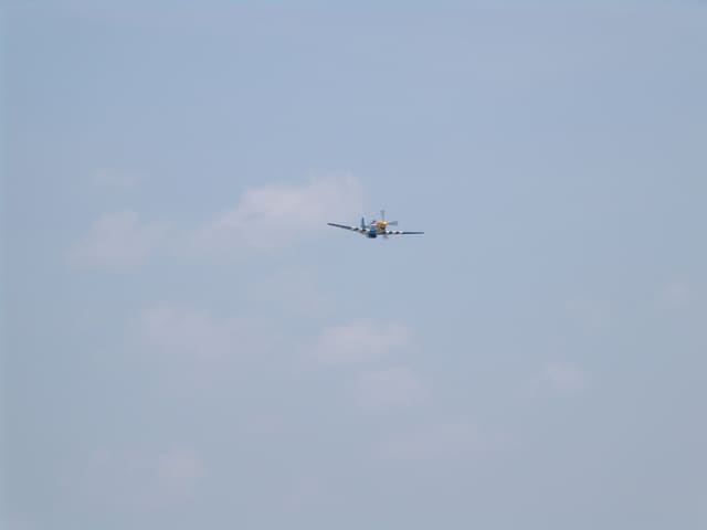  — Warbird