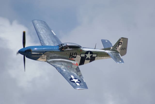  - Warbird