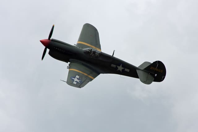  - Warbird