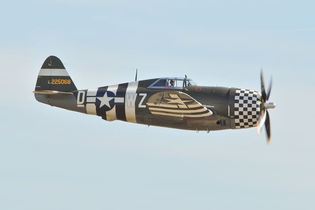  - Warbird