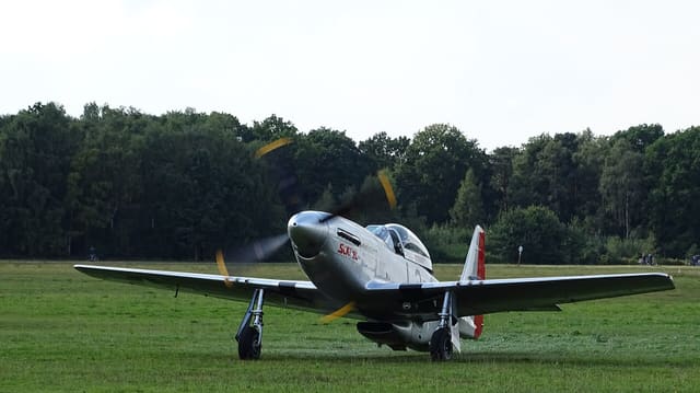  - Warbird