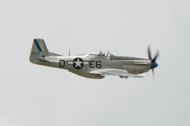 N1751D - Warbird