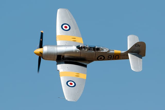  - Warbird