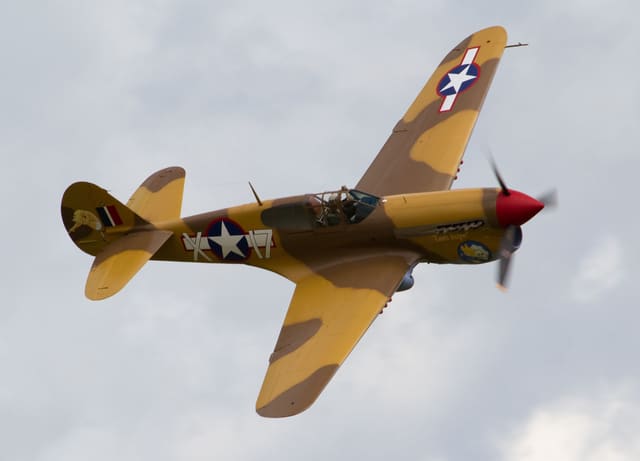  - Warbird