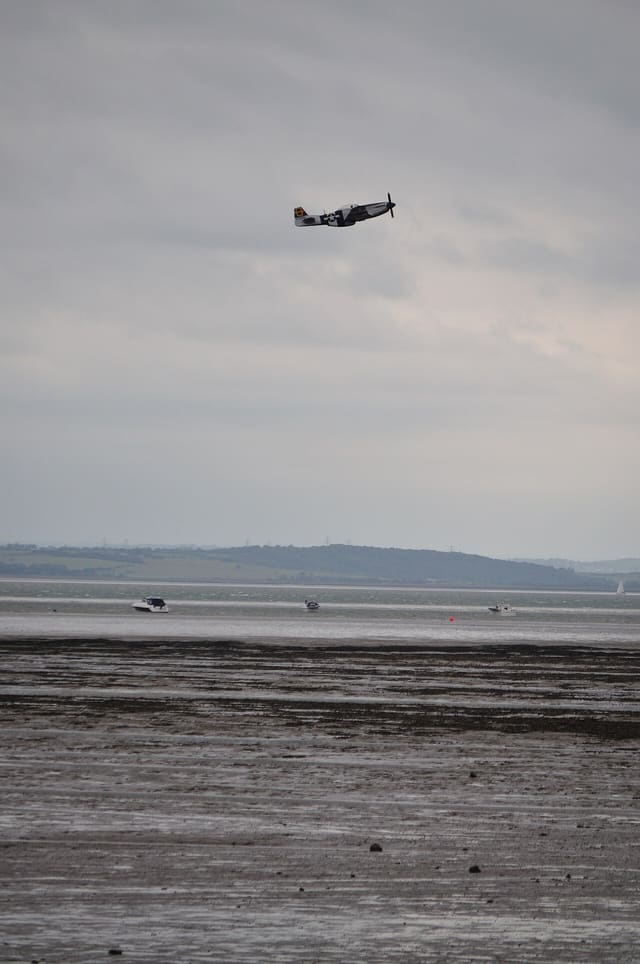  - Warbird