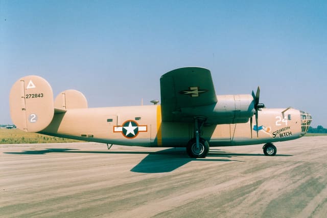  - Warbird