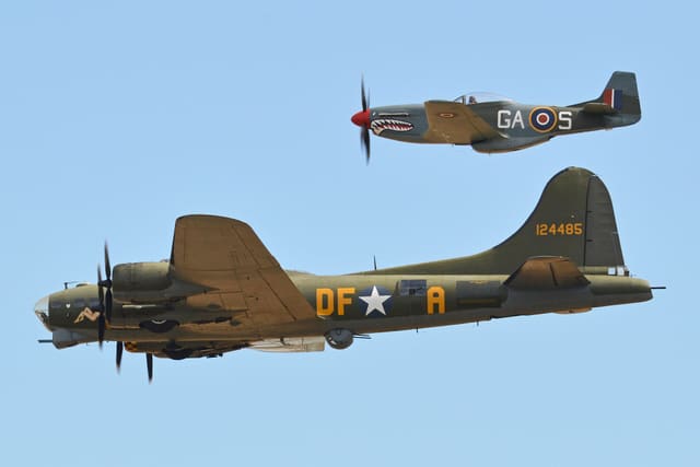  - Warbird