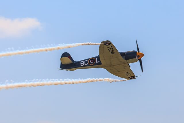  - Warbird