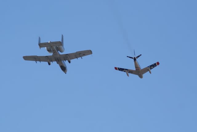  - Warbird