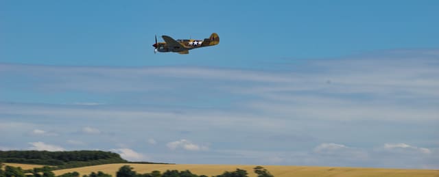  - Warbird