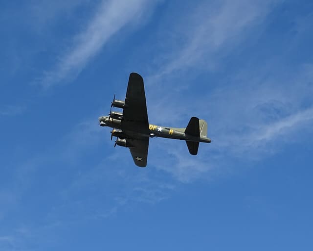  - Warbird
