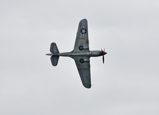  - Warbird