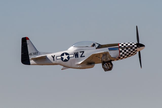  - Warbird