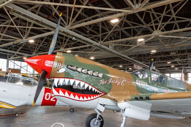 N1232N - Warbird