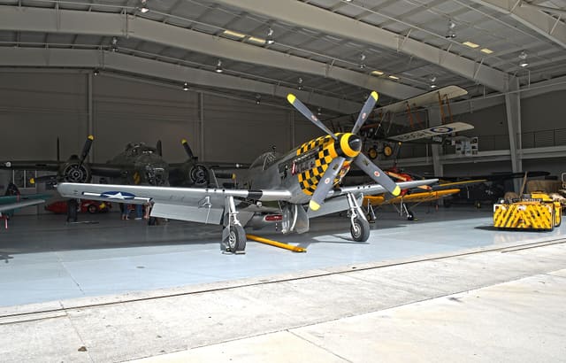  - Warbird