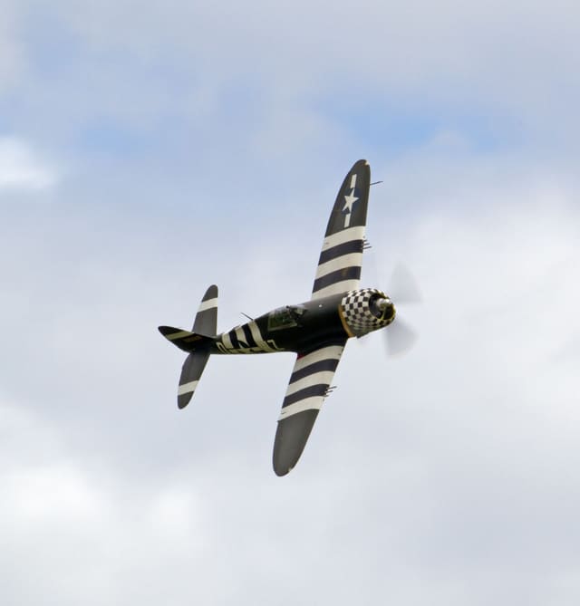  - Warbird