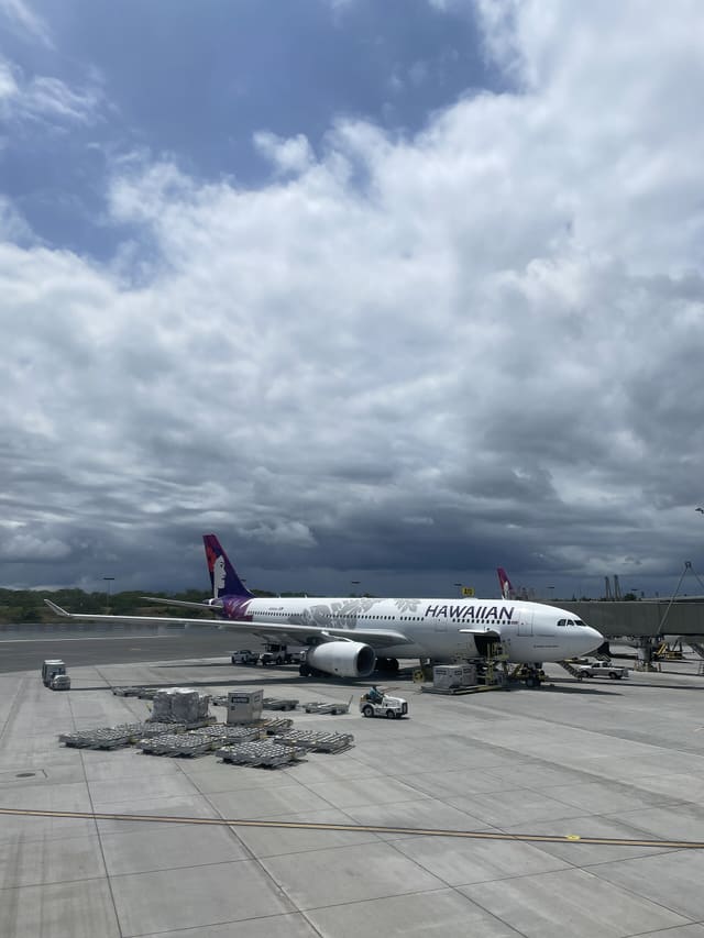 N386HA - Airbus