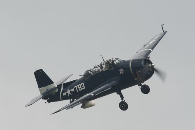 N81865 - Warbird