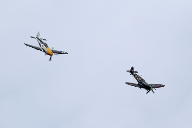  - Warbird