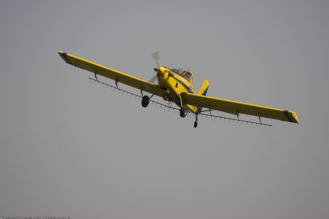 N1531G - Single-engine aircraft