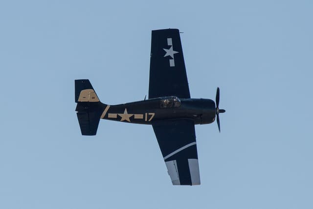  - Warbird