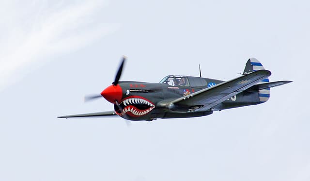  - Warbird