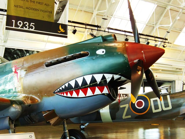  - Warbird