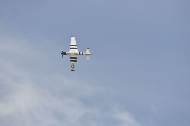  - Warbird
