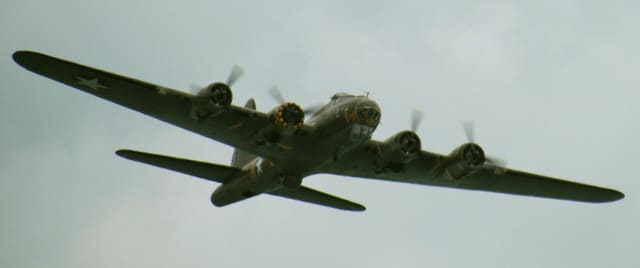  - Warbird