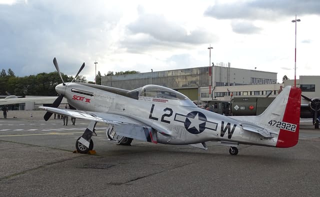  - Warbird