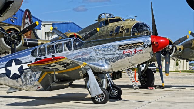  - Warbird