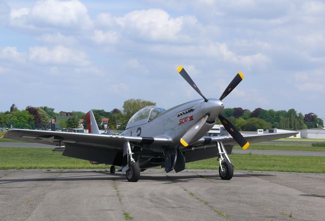  - Warbird
