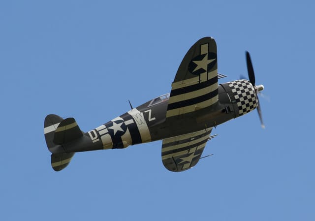  - Warbird