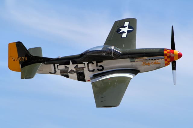  - Warbird