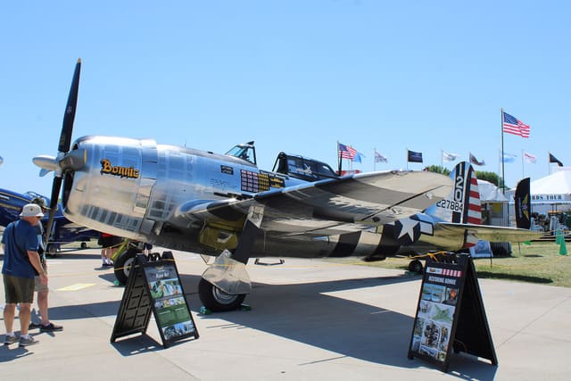  - Warbird
